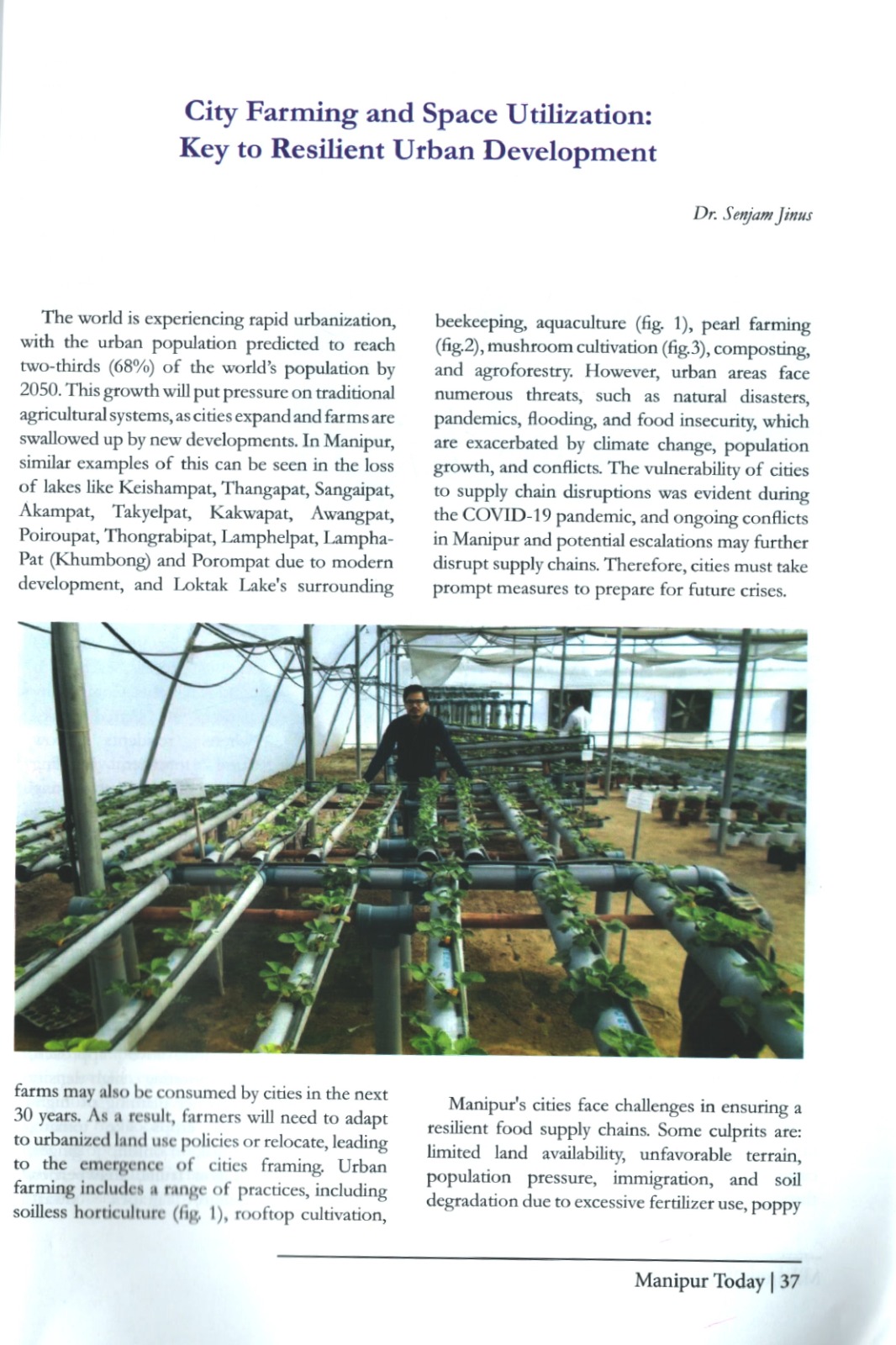 City Farming and Space Utilisation: Key to Resilient Urban Development